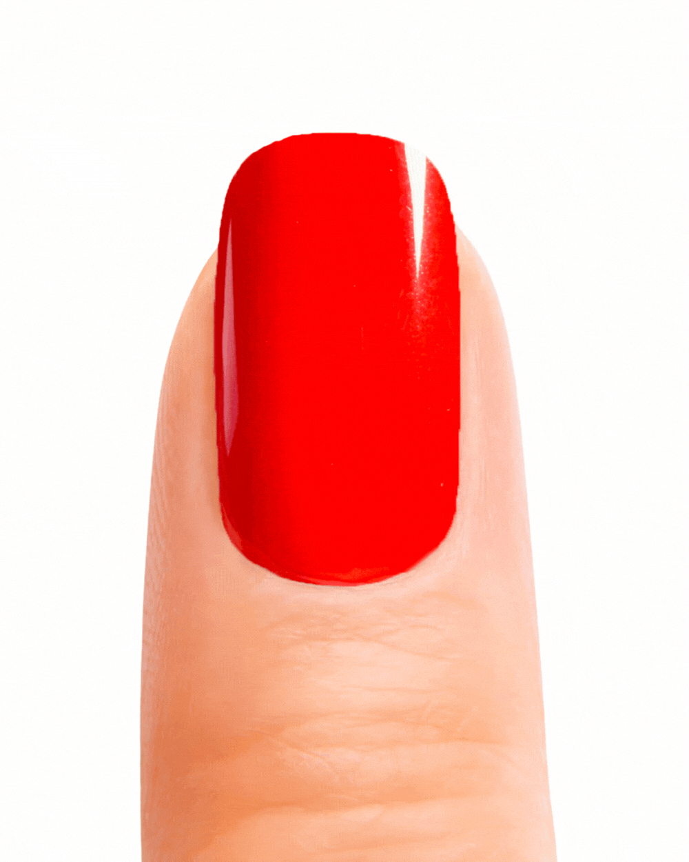 Roja